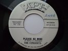 DooWop Group - Consorts - Apt 25066 - Please Be Mine