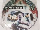 Sublime Robin In The Hood Picture Record