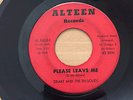 RARE - Drake And The En-Solids - Please Leave Me - Alteen