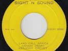 Roots Reggae 45 - Anthony Creary - Land Call Africa - Sight 'n' Sound - mp3