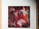 Immolation lp Dawn of possession RC 9310