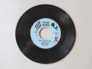 Ronnie Putirka mod DETROIT garage 45 record Don't Shake Me Down So Wrong LISTEN