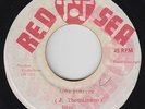Roots Reggae 45 - Bim & Dynamics - Love Forever - Red Sea - mp3
