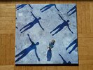 MUSE Absolution 2003 Vinyl 2 LP guter Zustand
