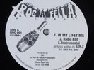 JAY-Z In My Lifetime ROC-A-FELLA 12