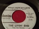 The Livin End - Hey Come Here / What Now 45 Garage Rock Domino