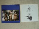 The Slits  