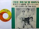 BEACH BOYS 45 When I Grow Up / She Knows Me.. CAPITOL Surf 1964 PIC SLEEVE w2221