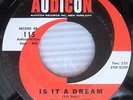 BILL BAKER & Del Satins DOO-WOP 45 Is It A Dream / I Wanna Know ORIG. cc912 HEAR