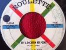  Rockabilly 45, Jimmy Lloyd, I Got A Rocket In My Pocket Promo Copy, VG