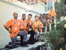 33T LES DJOUBAP'S PANAMENA COLON & GUAGANCO MAN DINGORE COVER BAD LP CRACKS
