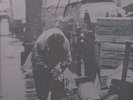 Georg Danzer - Der Tschik Vinyl DE LP
