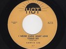 '59 W Coast Rockabilly CURTIS LEE I Never Knew What Love Can Do HOT 7 M- HEAR