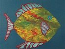 Fish - Michael Chapman (2015, Vinyl New)