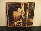 Pixies Come On Pilgrim 1987 LP Vinyl