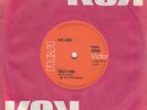 THE JOOK Crazy Kids / Bish, Bash, Bosh 45 - Junk Shop Glam