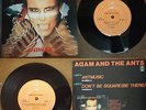 Item Title: ADAM AND THE ANTS - 