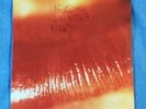  The Cure Kiss Me-Kiss Me-Kiss Me 2lp's EX/EX Original 1st Press 1987-9 60737-1 