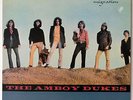 Amboy Dukes   Migration NMM Vinyl LP Ted Nugent Juvenile Delinquent Prodigal Man