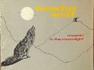 Howlin' Wolf-Moanin' In The Moonlight-Chess 1434-STEREO SHRINK