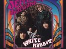 JEFFERSON AIRPLANE - White Rabbit (ps) 7
