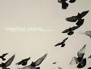 Planet Mu - Rossz Csillag Alatt Született