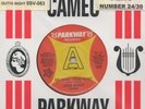 Evie Sands / Janie Grant - Picture Me Gone / My Heart  Your Heart - Parkway Demo