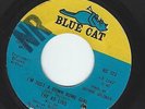45 THE AD LIBS Johnny My Boy / I'm Just A Down Home Girl