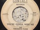 The Thirteenth Floor Elevators 13th - You're Gonna Miss Me Contact Psych 45