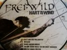 Freiwild Picture LP Hart am Wind