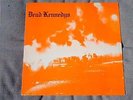 Dead Kennedys LP Fresh Fruit For Rotting Vegetables ORANGE COVER 1st US pres IRS
