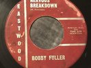 BOBBY FULLER Nervous Breakdown/Not Fade Away 45 Eastwood Texas garage hear