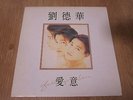 Andy Lau ??? - ?? Falling In Love Korea Vinyl LP 12