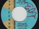 Northern Soul 45 - Ron & the Embracers - You Came Into My Heart - Spectrum - mp3