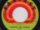 Northern Soul 45 - Lenny Williams - I Couldn't Find Nobody - Fantasy - mp3