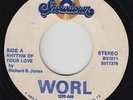 Modern Soul 45 - Richard B. Jones - Rhythm Of Your Love - Budweiser Showdown mp3