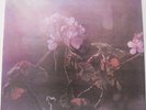 Spinetta A 18` Del Sol Edition 2015 New Sealed Vinyl lp