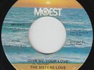 Funk Soul 45 - Sisters Love - Give Me Your Love - MoWest - mp3