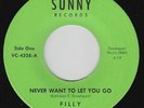 Sweet Soul/Funk Rock 45 - Filly - Never Want To Let You Go - Sunny - VG++ mp3