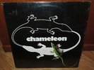 CHAMELEON Self Titled LP - 1981 (Minneapolis Band) PLATINUM W/Poster & Insert