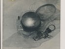 MEATMEN   Blood Sausage EP.1982 US hardcore punk w/insert & sticker.Touch and Go
