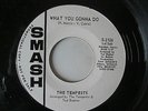 The Tempests - What You Gonna Do  - US Smash Demo