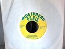 RARE 45RPM   Widespread Panic   Coconut Image Monkey vinyl 7