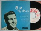 WEBB PIERCE I AIN'T NEVER / 7INCH 45RPM / SHANGHIED