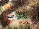 PINK FLOYD A Saucerful Of Secrets Pathe Marconi 2C064-04190 Vinyl LP Excellent