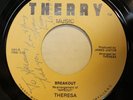 THERESA breakout / cold rain 45 on THERRY --- wipeout surf DRUM BREAKS