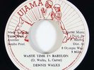 Dennis Walks 