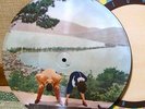 JAPAN SHELLAC PICTURE DISC 10