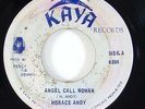 Horace Andy 
