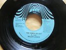 Rare Modern Soul WILDFLOWER Sunshine Man / You Knock Me Out US DASH OG 5027